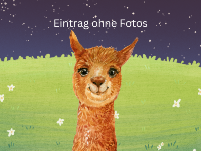 Alpakas vom Ellertal