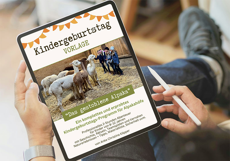 Kindergeburtstag Vorlage