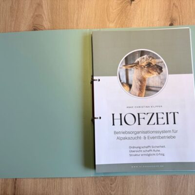 Organisationssystem Ordner