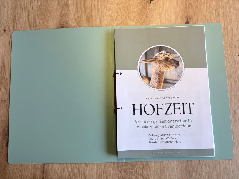 Organisationssystem Ordner