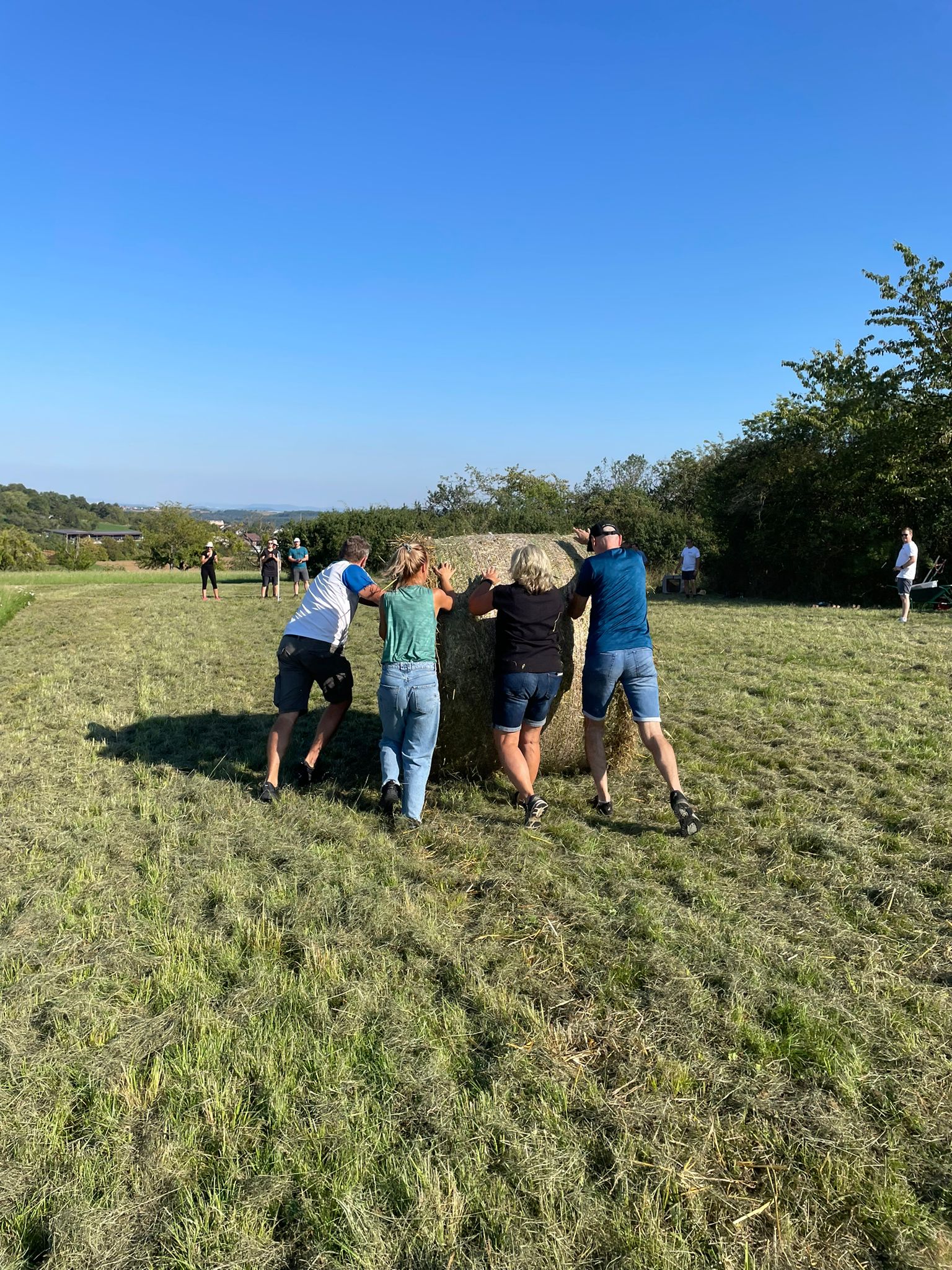 Teambuilding Alpaka